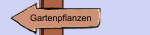 Gartenpflanzen